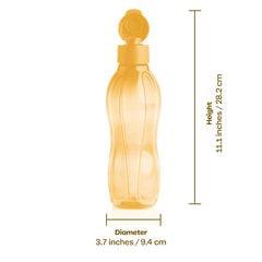 Eco+ Bottle | Large